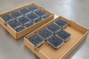 Blueberry clamshells arranged in unbranded open-top corrugated produce cases
