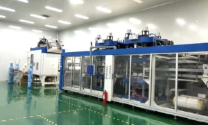 Yinling automated thermoforming line for food packaging containers
